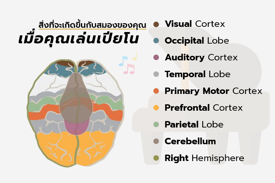 เรียนเปียโน มีดีอย่างไร? 9 ประโยชน์ที่คุณจะได้เมื่อเรียนเปียโน