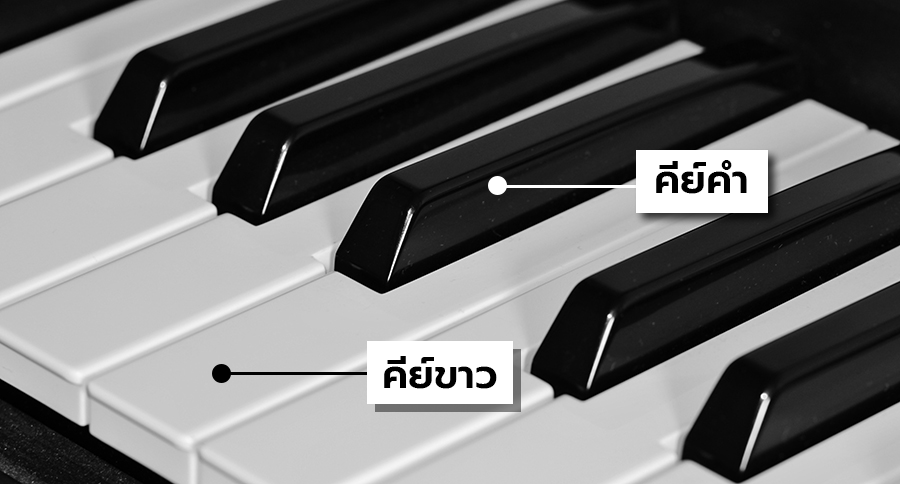 การเรียนเปียโน ช่วยพัฒนาสมองส่วนที่ควบคุมดวงตา